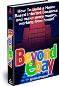 Beyond eBay by the creator of Auctions for Income
