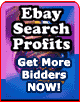 Auction Search Profits