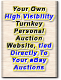 Auction Website Promotion