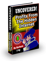 Profits From The Hidden Internet