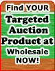 Find Your Targeted Auction Product at Wholesale NOW!