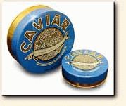 beluga caviar exquisite