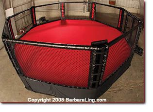 Throwdown MMA Cage