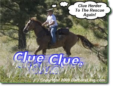 Buy a clue!