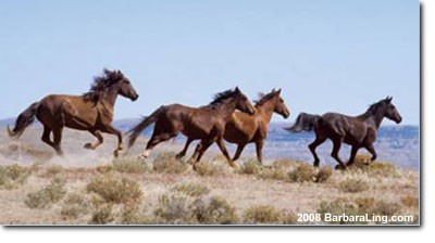Ldading the herd