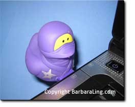 Ninja Rubber Duckie!