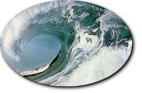 Law of Proaction