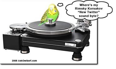 Twitter Budgie