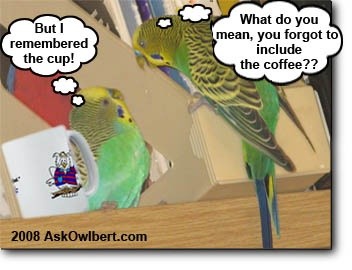 Twitter Budgie!