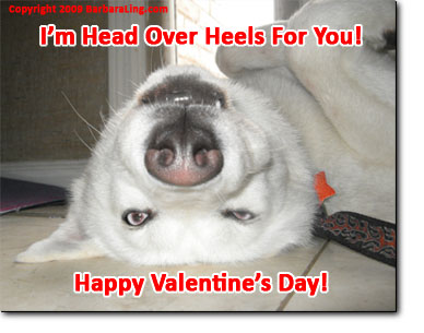Happy Valentine's Day!