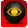 What Do You See?