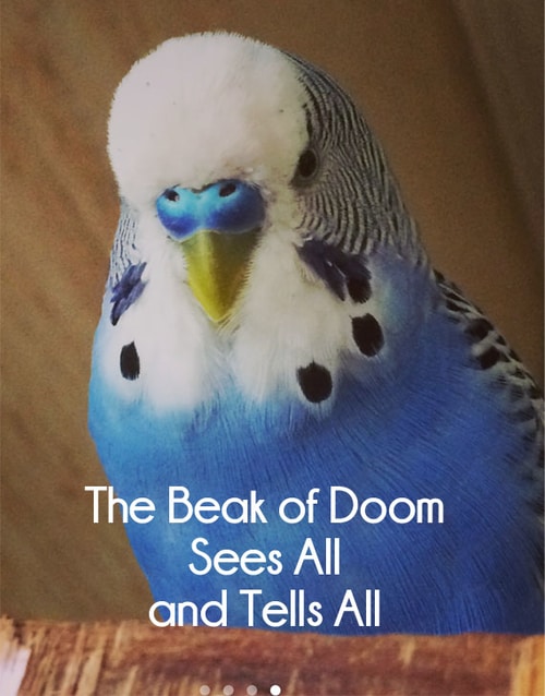 Beak of Doom
