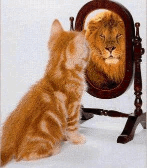confidence Confidence!