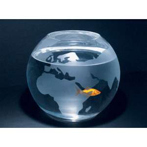 fishbowlworld