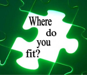 puzzlefit puzzlefit