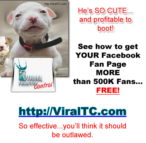 Viral Traffic Control