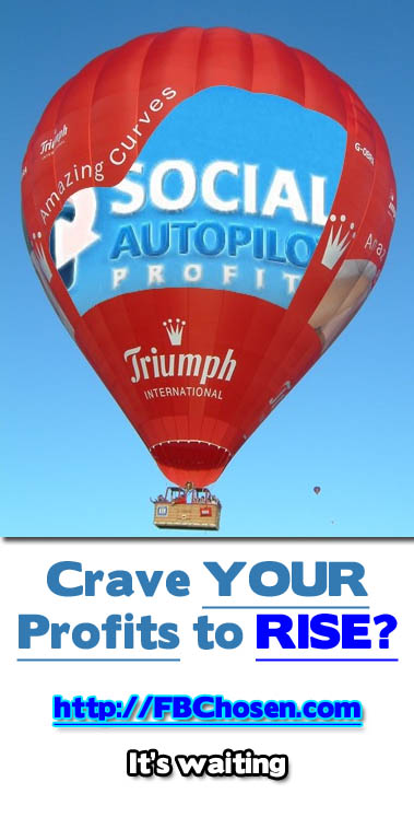 Don Wilson Social Autopilot Profits