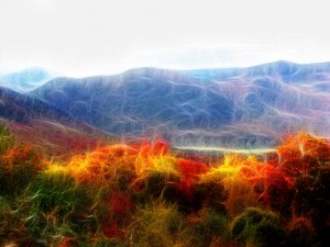 autumn3