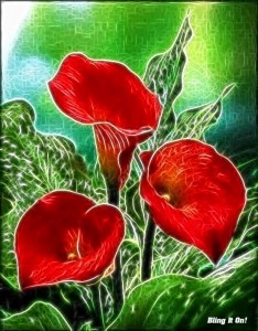 flowers22