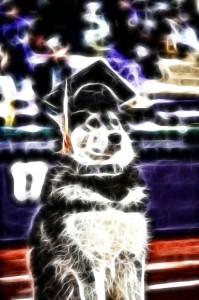 graduatedmoose
