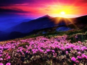 sunrise2