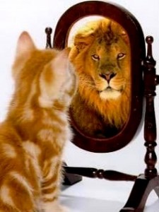 catmirroir