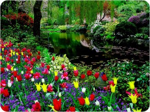 flowers10