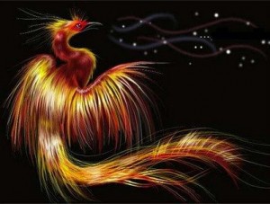 phoenix