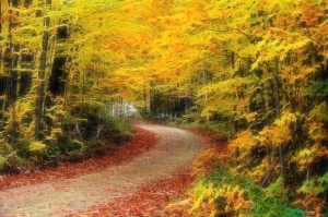autumn1