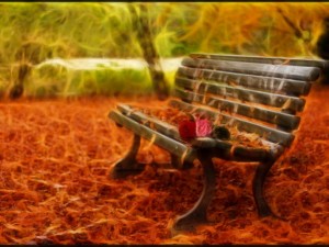 autumn2