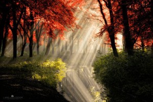 beams