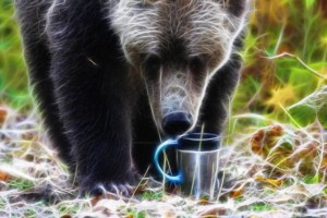 bear2 - Copy
