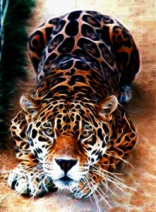jaguar