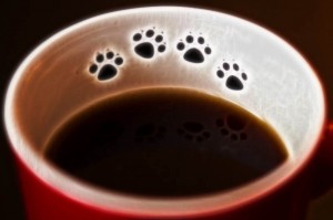 paw
