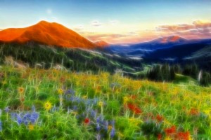sunrise43