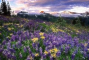 sunrise44