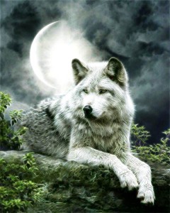 wolf2