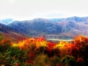 autumn3 - Copy