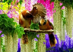 bird2