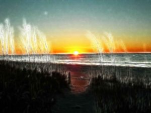 ocean11
