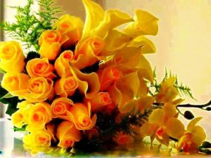 roses1