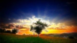 sunrise32