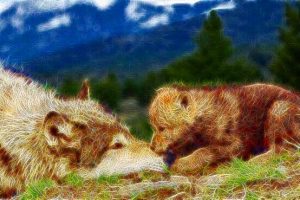 wolf1 - Copy