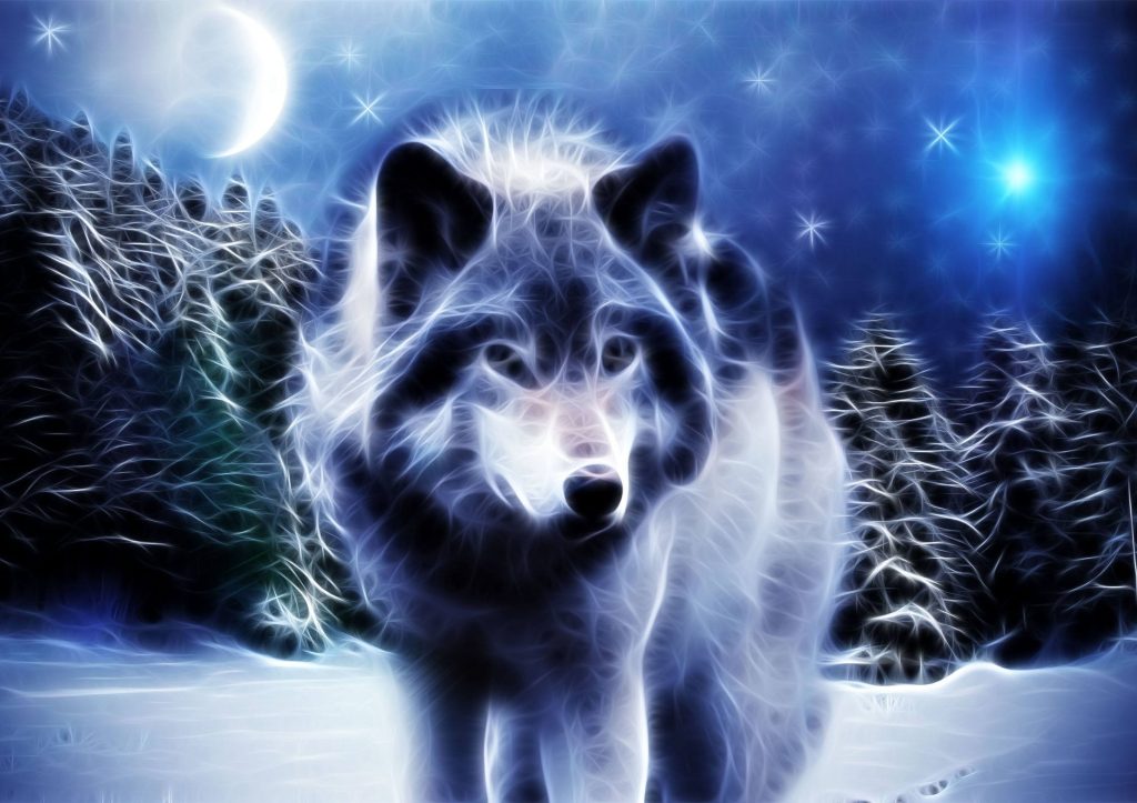 wolf11 - Copy