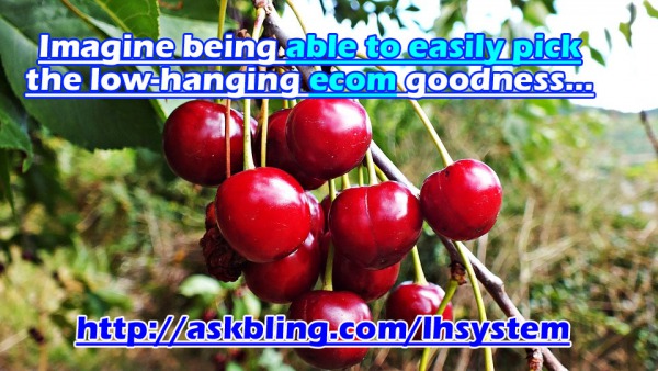 Powerful eCom Method http://askbling.com/lhsystem