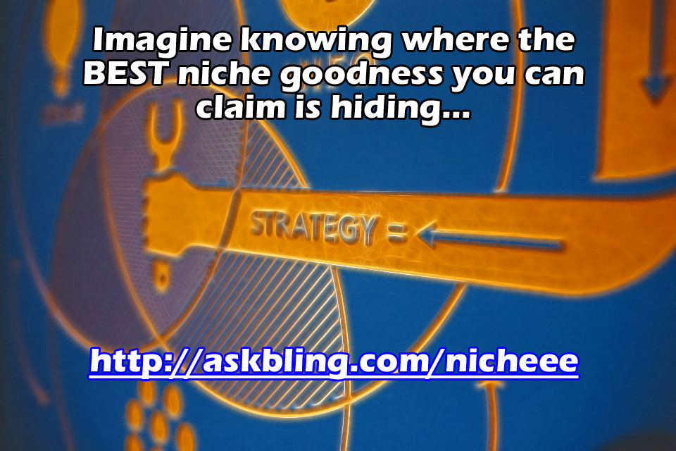 NIche eVo http://askbling.com/nicheee