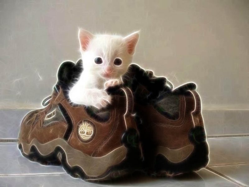 Offline FB PLR http://askbling.com/offlinefbplr