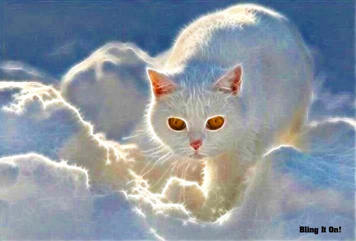 YouTube Spy http://askbling.com/ytubespy20