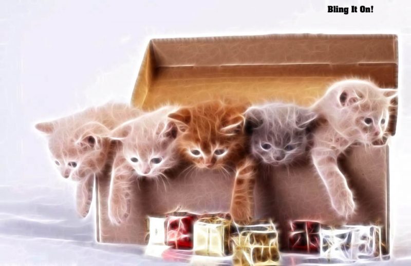 4 eMail Tools http://askbling.com/4in1email