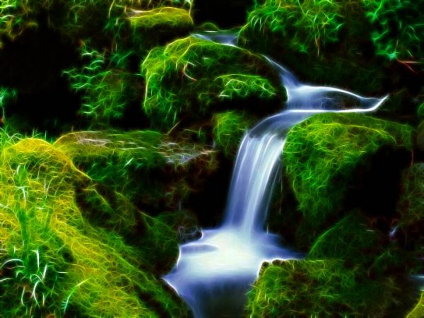 eBay Wootness! http://askbling.com/bayprofits20